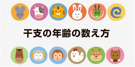 2025干支|【2025年干支】来年は巳年（へびどし）！基礎知識や年齢早見。